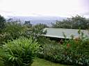 Lodge Heliconia  Tenorio